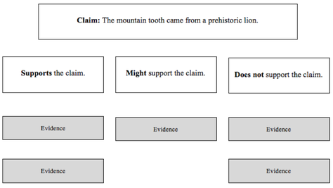 Chart - Claim: The mountain tooth came from a prehistoric lion.